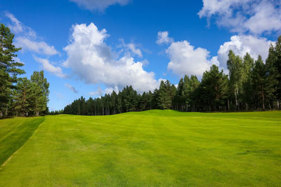 Panoramic shot of trees on field against sky