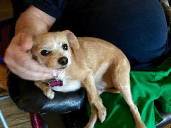 Close-up of man sitting dog