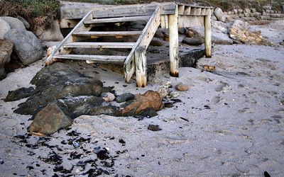 High angle view of an animal on rock