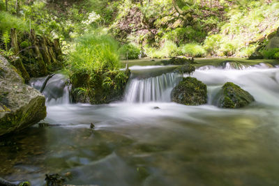 Scenic view of waterfall in forest