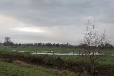 Scenic view of field against sky