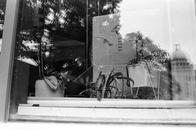 Woman sitting on glass window