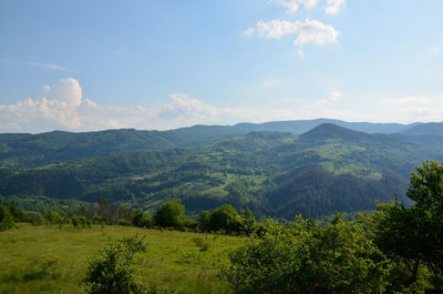 Meadow, hills, valleys and mountains with lush trees