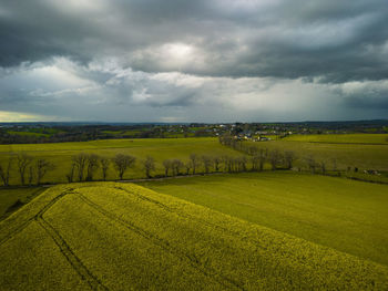 Scenic view of agricultural rapseed field against sky