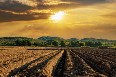 Scenic view of agricultural field against sky during sunset