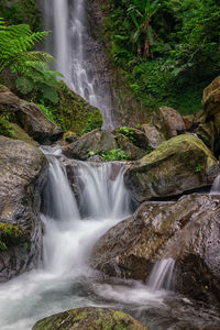 Scenic view of waterfall in forest