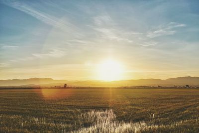 Scenic view of field against sky during sunset