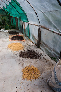 High angle view of corn on field