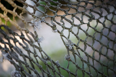 Close-up of torn old netting