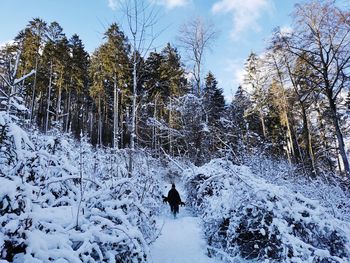 Rear view of woman walking on snow covered land against tree during winter