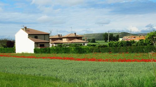 Houses on field by buildings against sky