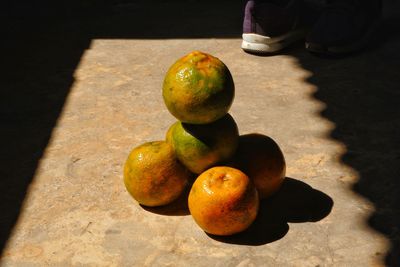 High angle view of fruits on tree