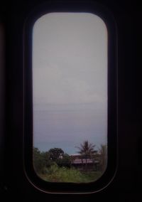 Trees seen through train window
