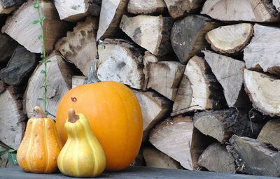 Close-up of pumpkins