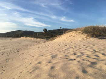 Scenic view of beach against sky