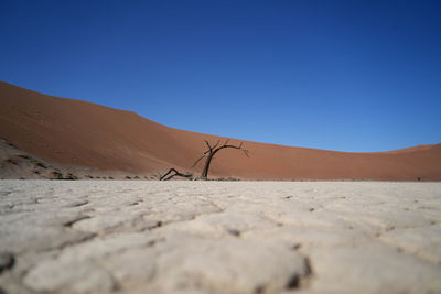 Scenic view of desert against clear blue sky