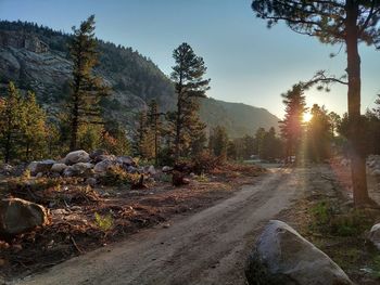 The wonderful naturescape of colorado. pictured is a dirt path leading to a journey unknown.