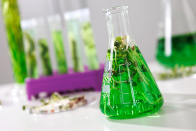 Close-up of glass bottles