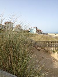 Close-up of beach against clear sky