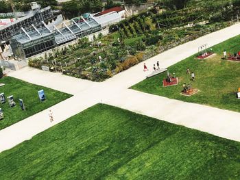 High angle view of trees in park