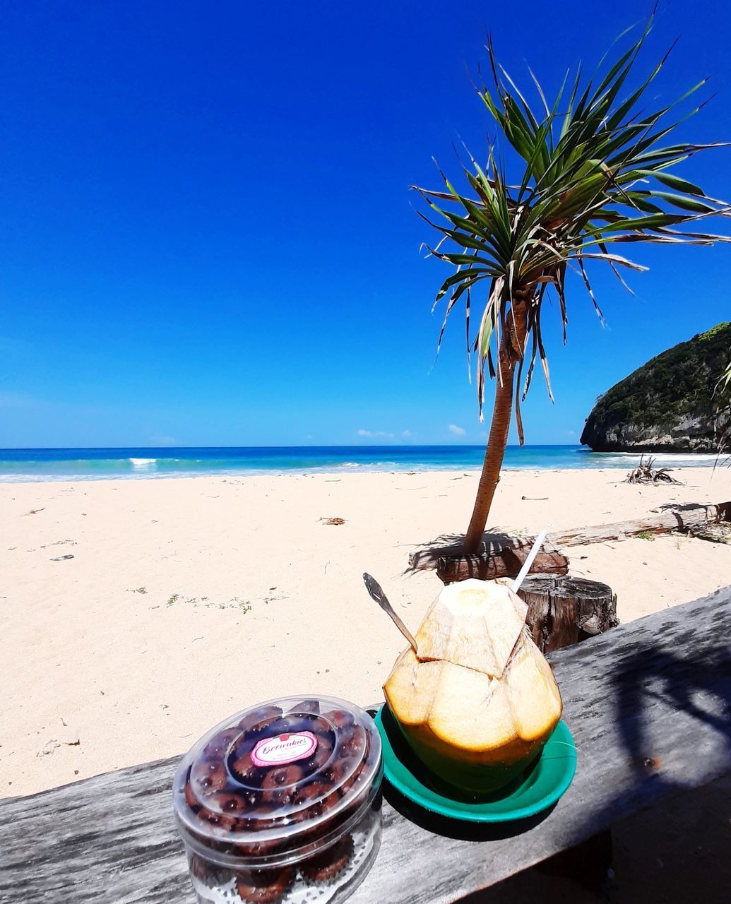 COCONUT PALM TREE ON BEACH AGAINST CLEAR SKY