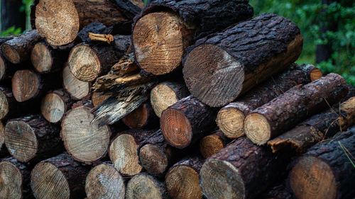 Full frame shot of logs in forest