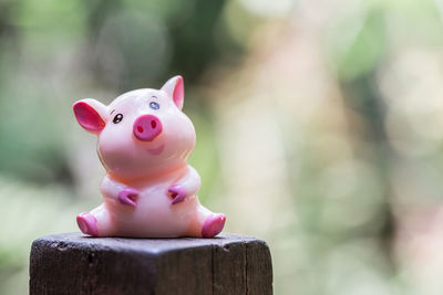 Close-up of stuffed toy