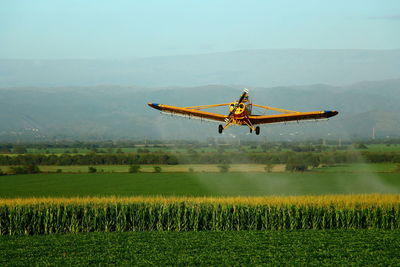 Airplane flying over field against sky