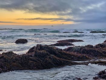 Sunset over ocean landscape of asilomar state beach with rocky beach in the foreground 