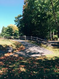 Footpath in park