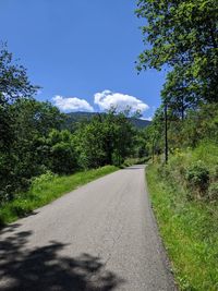 Empty road along trees and plants against sky