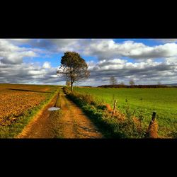 Scenic view of field against cloudy sky