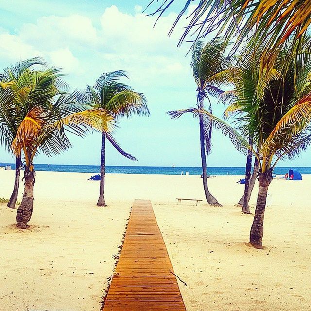 sea, beach, palm tree, horizon over water, sand, sky, tranquility, water, tree, tranquil scene, the way forward, shore, scenics, beauty in nature, vacations, nature, beach umbrella, incidental people, idyllic, sunlight