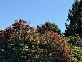 nature