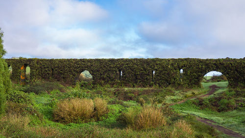 Hay bales on field against sky