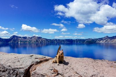 View of a lake with mountain in background