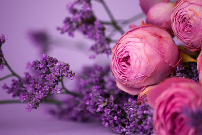 Close-up of pink flowering plant