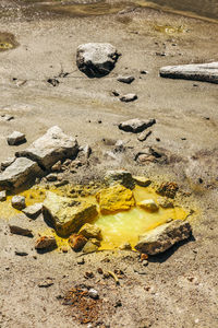 High angle view of stones on wet sand