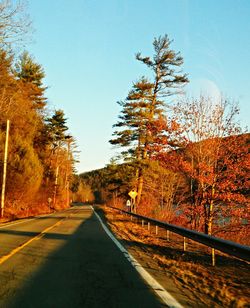 Empty road along trees