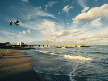 Seagull flying over breach against sky