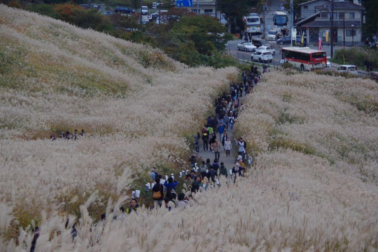 HIGH ANGLE VIEW OF TOURISTS ON FIELD