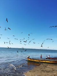 Scenic view of birds and boats sea against blue sky