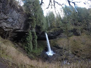 Waterfall in forest