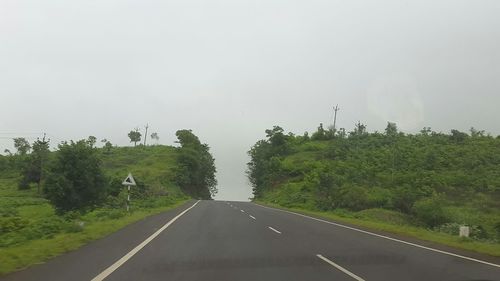 Country road along trees