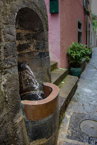 Close-up of old plant against building