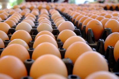 Close-up of eggs on cartons