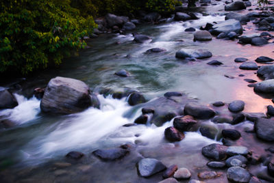 Stream flowing through rocks in forest