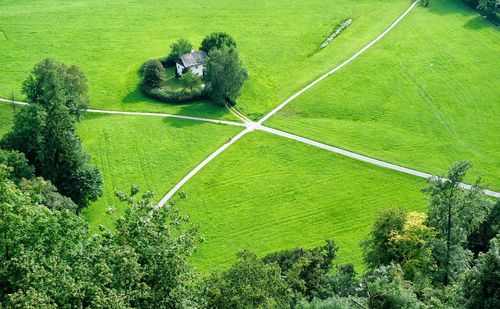 High angle view of snake on field