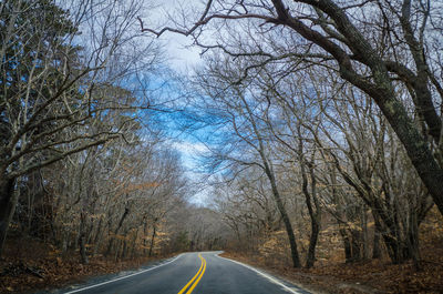 Empty road amidst bare trees against sky