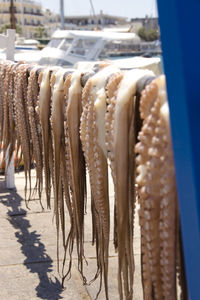 Close-up of fish hanging at beach